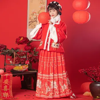 Originalus Žiemos Han Kostiumas Ming Dinastijos Moterų Ponis Suknelė Kinijos Žiemos 2023 Kinų naujieji Metai Suknelė