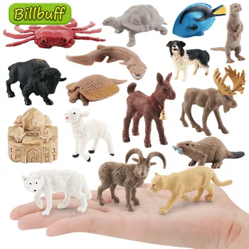 Gyvūnai Zoologijos sode Vabzdžių Voras Drugelis Žuvis Dinozauras, Šuo, Katė, Arklys Figūrėlės Ūkio Modelis Veiksmų Skaičiai švietimo žaislas vaikams